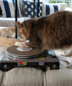 Suck UK Cat Scratcher ; Dj Cat Scratch Turntable ; Cardboard Cat House ; Cat Scratch Pad ; Cat Scratcher House & Cat Playhouse ; Novelty Interactive Cat Toys For Indoor Cats ; Funny Cat Accessories 28 81EBoSDjfyL
