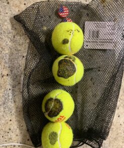 Tourna Mesh Carry Bag of 18 Tennis Balls 24 81EC2yoAR0L