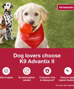 K9 Advantix II XL Dog Vet-Recommended Flea, Tick & Mosquito Treatment & Prevention | Dogs Over 55 lbs. | 4-Mo Supply 4 Pack XL Dog only 21 81EDjQqM2WL 3