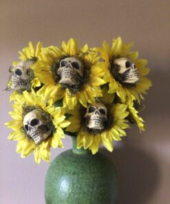 Fun Express Small Skulls for Halloween - Set of 3 - Use for Shrunken Heads and Scary Home Decor 26 81EF4PTMoL