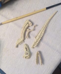 Large Dinosaur Excavation Kit 24 81EIeOU0SOL