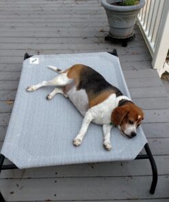 Coolaroo The Original Cooling Elevated Dog Bed, Indoor and Outdoor, Large, Terracotta 51.0"L x 31.5"W x 8.0"Th 43 81EMu0rng0L