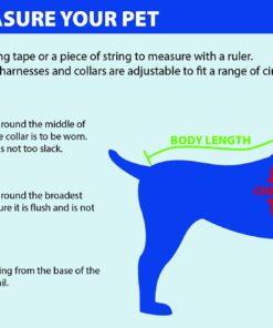 NFL Denver Broncos Dog Jersey, Size: X-Large. Best Football Jersey Costume for Dogs & Cats. Licensed Jersey Shirt 23 81EPMaVM6BL