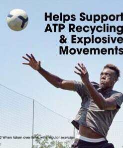 Optimum Nutrition Micronized Creatine Monohydrate Capsules, Keto Friendly, 2500mg, 300 Capsules (Packaging May Vary) Unflavored - Capsules 300 Count (Pack of 1) 27 81ER76ARYgL