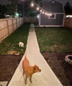 Litcher Globe String Light Suspension Kit, Outdoor Light Guide Wire, Vinyl Coated Stainless Steel Steel Cable,Include 150fts Transparent PVC and 304 Stainless Steel Wire Cable, Turnbuckle and Hooks 48 81ERCXYrpWL