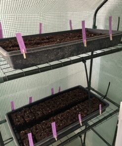 Ladbrooke Genuine Soil Block Maker - Mini 4 Hand Held - Most Popular Soil Blocking Tool, Made in England 40 81ET0L vdSL