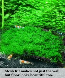 Luffy Decorative Wall or Floor Mesh Kit, 2 Pieces 27 81ETMDs QTL