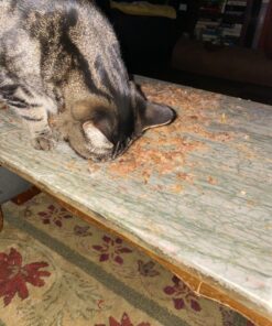 Cat-Man-Doo Extra Large Dried Bonito Flakes Treats for Dogs & Cats - All Natural High Protein Flakes - 4oz. / 112g Bag 4 Ounce (Pack of 1) 58 81EUl4eKkKL 2