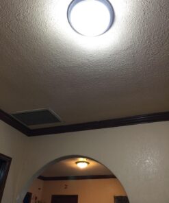 Philips LED Non-Dimmable A19 Frosted Light Bulb: 1500-Lumen, 5000-Kelvin, 14-Watt (100-Watt Equivalent), E26 Medium Screw Base, Daylight, 4-Pack, 455717 4 Count (Pack of 1) 100-Watt Equivalent 33 81EVADhgzuL