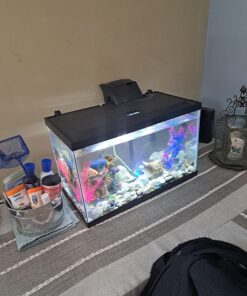 Tetra LED Hood 19.3125 Inches By 9.375 Inches By 2.5 Inches, Low-Profile aquarium Hood With Hidden Lightin, Plastic 20 Inch 21 81EbRxwSPL