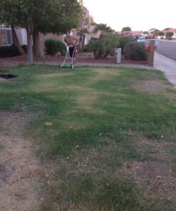 Greenworks 16-Inch Reel Lawn Mower with Grass Catcher 25052,Black/Green, 47"D x 22"W x 29.75"H 16" Reel Mower 54 81Ec96ARvsL