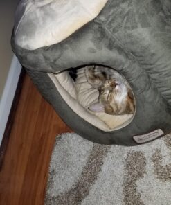 Armarkat Cat Bed, Laurel Green and Beige 49 81EcnQ6sbAL