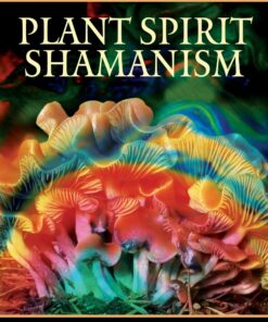 Plant Spirit Shamanism: Traditional Techniques for Healing the Soul