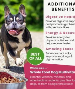Olewo Original Red Beets for Dogs – Natural Anti Itch for Dogs, Dog Food Topper, Immune, Cleansing, Skin & Coat Support, Dehydrated Whole Food Dog Multivitamin, Fiber for Dogs, 2.2 lbs 2.2 Pounds 19 81Edku9ffoL