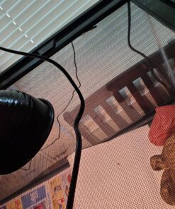 Zoo Med Repticare Rock Heater 1 Count (Pack of 1) 14 81EehtcJB0L