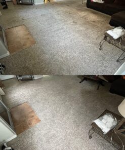 Nature's Miracle Carpet Shampoo, Deep-Cleaning Stain and Odor Remover 64 Ounce Original 64 Fl Oz (Pack of 1) 41 81Eei2n9E2L