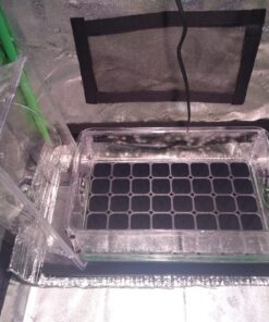 EarlyGrow 93763 Medium Seed and Herb Domed Propagator with Vented Side Height Extension, Extender, Green Medium with Side Extender 52 81Eg B7PBLL