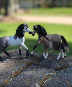 Schleich Horse Club Realistic Andalusian Mare Figurine - Highly Detailed Horse Toy, Durable for Education and Imaginative Play for Boys and Girls, Gift for Kids Ages 5+ 34 81EhFXPRM8L