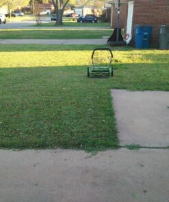 Greenworks 16-Inch Reel Lawn Mower with Grass Catcher 25052,Black/Green, 47"D x 22"W x 29.75"H 16" Reel Mower 57 81EkguJOL