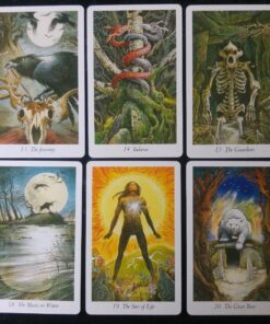 The Wildwood Tarot Deck: Wherein Wisdom Resides (Modern Tarot Library) 61 81EmCL2iesL