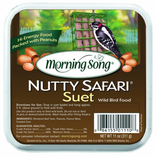 Morning Song 11358 Nutty Safari Suet Wild Bird Food, 11-Ounce