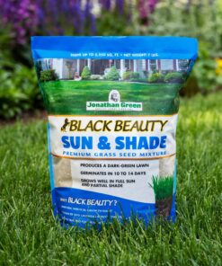 Jonathan Green (12005) Black Beauty Sun & Shade Grass Seed - Cool Season Lawn Seed (7 lb) 7 lb 17 81EpRMJIDqL