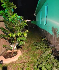 Luposwiten Solar Lights Outdoor Waterproof 100 LED Solar Powered Outdoor Lights, Motion Sensor Outdoor Lights for Front Door, Yard, Garage, Garden, Patio, Deck (4 Pack) 42 81EqNNQN1LL