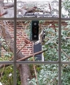 Wild Birds of Joy Window Bird Feeder with 4 Super Strong Suction Cups & Sliding Seed Tray, Large, Clear Acrylic, Easy Clean, Outdoor Bird Feeders, Outside View Up Close of Finch, Cardinal and Blue Jay 40 81EsdpyvfyL