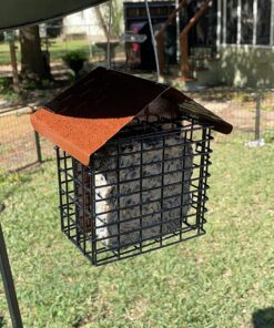 More Birds Double Suet Cage Bird Feeder with Metal Roof, Fruit and Suet Feeder, 2 Suet Cake Capacity Brown Double Cage 42 81Etc11U9eL