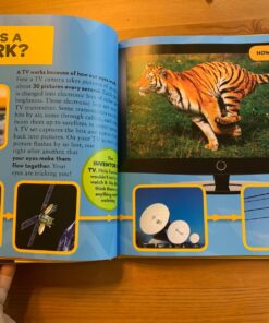 National Geographic Little Kids First Big Book of Why (National Geographic Little Kids First Big Books) 37 81EzXpSgcmL