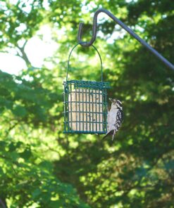 Wildlife Sciences High Energy Suet Cake 10 Pack 25 81F2ZGlM1L