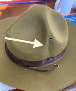 Olive Green Park Ranger/Mountie/ Smokey Bear Hat-One Size Fits Most Adults 13 81F3F8BqJSL