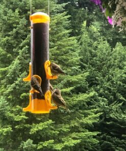 Stokes Select Thistle Tube Bird Feeder with Six Feeding Ports, Yellow, 1.6 lb Capacity - 38224, small 20 81F3q1M8ePL