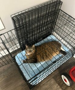 MidWest Homes for Pets Newly Enhanced Single Door iCrate Dog Crate, Includes Leak-Proof Pan, Floor Protecting Feet , Divider Pane l & New Patented Features 41 81F4qfwVIwL 1