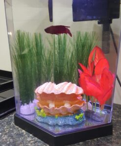 Marina Naturals Red Foreground Silk Plant – Fish Tank Decoration Mimics Live Aquarium Plants Red Small 23 81F5E7oyEGL