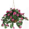 Nearly Natural Bougainvillea Basket Silk 1 Artificial Hanging Plant, 32 x 32 x 24, Green, Pink 20 81F9lFWvNCL
