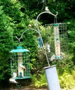 Lyric Fine Tunes Wild Bird Seed - No Waste Bird Food Mix - Attracts Bluebirds, Finches, Chickadees & More - 15 lb. Bag 15.00 Pound (Pack of 1) Seed Mix 42 81FDIvqr0lL