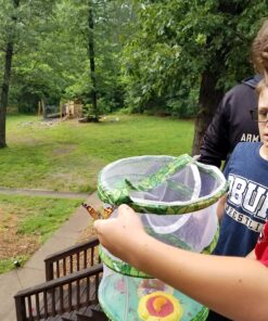 Insect Lore 5 Live Caterpillars Cup of Caterpillars Butterfly Kit Refill - Plus Butterfly Life Cycle Stages Toy Figurines - Shipped Now 58 81FHVcoZXL