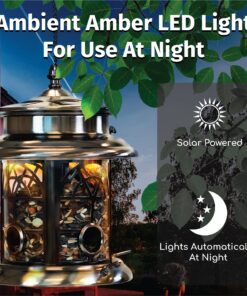 Sunray Arch Inlay Solar Lighted Bird Feeder (Pewter) 11 81FK1xTWoL