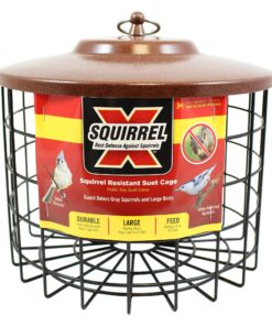 More Birds Squirrel-X Double Suet Feeder, Outdoor Wild Bird Feeder, Cage Bird Feeder, 2 Suet Cake Capacity 17 81FK3N5jhLL