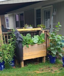 Monterey LG6332 Bacillus Thuringiensis (B.t.) Worm & Caterpillar Killer Insecticide/Pesticide Treatment Concentrate, 16 oz 1 pint (16 oz.) 43 81FKgsbKa1L