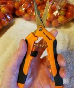 VIVOSUN 6.5 Inch Gardening Scissors Hand Pruner Pruning Shear with Straight Stainless Steel Blades Orange 1-Pack Straight Blade 41 81FKjT0CVBL