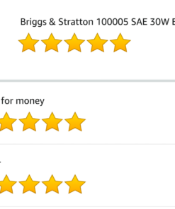 Briggs & Stratton 100005 SAE 30W Engine Oil - 18 Oz 15 81FKoFFFqAL