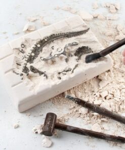 Alternative view of Dig & Discover Dino Stegosaurus Dinosaur Skeleton 3D Fossil Bones Excavation, Science Educational Toy Kit for Kids, Children