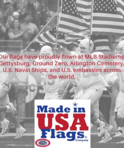 Made in USA Flags Co. - Heavy-Duty Commercial Grade American Flag with PolyMax Polyester, Sewn Stripes, Embroidered Stars & Solid Brass Grommets - Fade-Resistant, All-Weather Flag (3’x5’) 3 by 5 foot 29 81FNqZQInXL 2