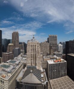 Tamron AFA012N700 SP 15-30mm f/2.8 Di VC USD Wide-Angle Lens for Nikon F(FX) Cameras Black 43 81FPJkjQnCL