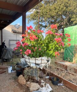 Scotts Super Bloom Water Soluble Plant Food, 2 lb - NPK 12-55-6 - Fertilizer for Outdoor Flowers, Fruiting Plants, Containers and Bed Areas - Feeds Plants Instantly 50 81FQxlTnJZL