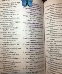 G.T. Luscombe Company, Inc. Accu-Gel Bible-Hi-Glider Bible Study Set | No Bleed Solid Gel Highlighter | No Smearing or Fading | Long Lasting Bright Translucent Colors (Set of 6) 1-Set Set of 6 63 81FRFUikyfL