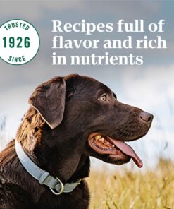NUTRO NATURAL CHOICE Large Breed Adult Dry Dog Food, Chicken & Brown Rice Recipe Dog Kibble, 30 lb. Bag 30 Pound (Pack of 1) 31 81FTf5X2sL 1