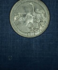 Mcoplus Extnp Auto Focus Macro Extension Tube Set for Nikon AF AF-S DX FX SLR Cameras 56 81FThvQpHrL